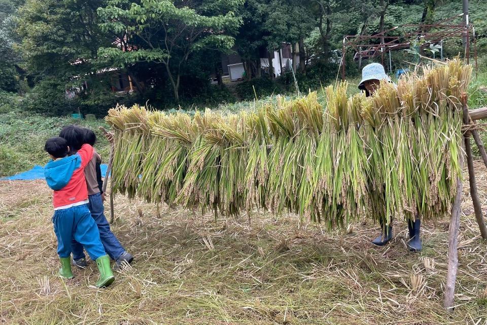 ■ フリースクール事業「平日の学び場」のメインビジュアル