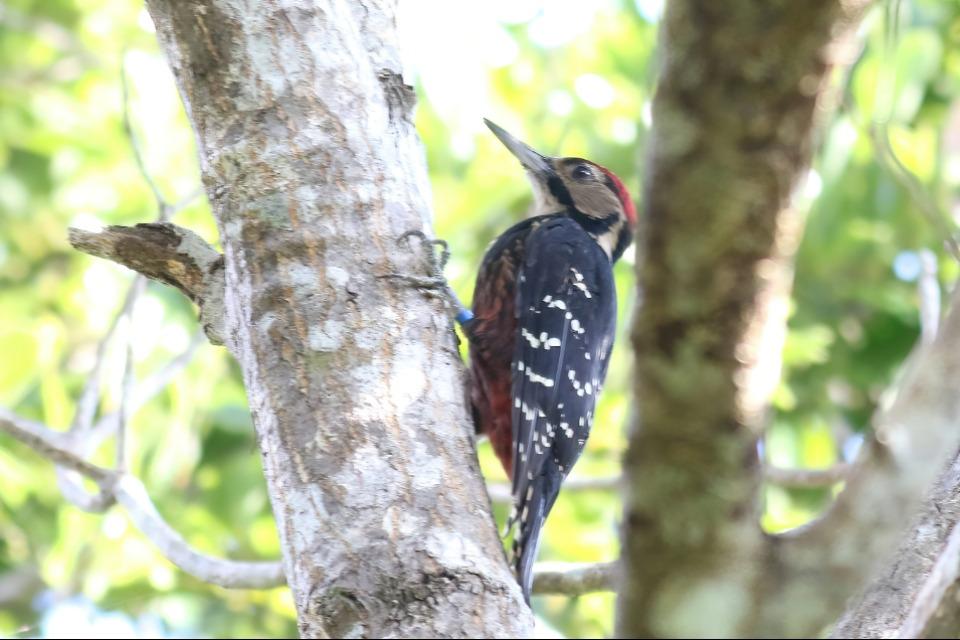 調査・研究活動のメインビジュアル