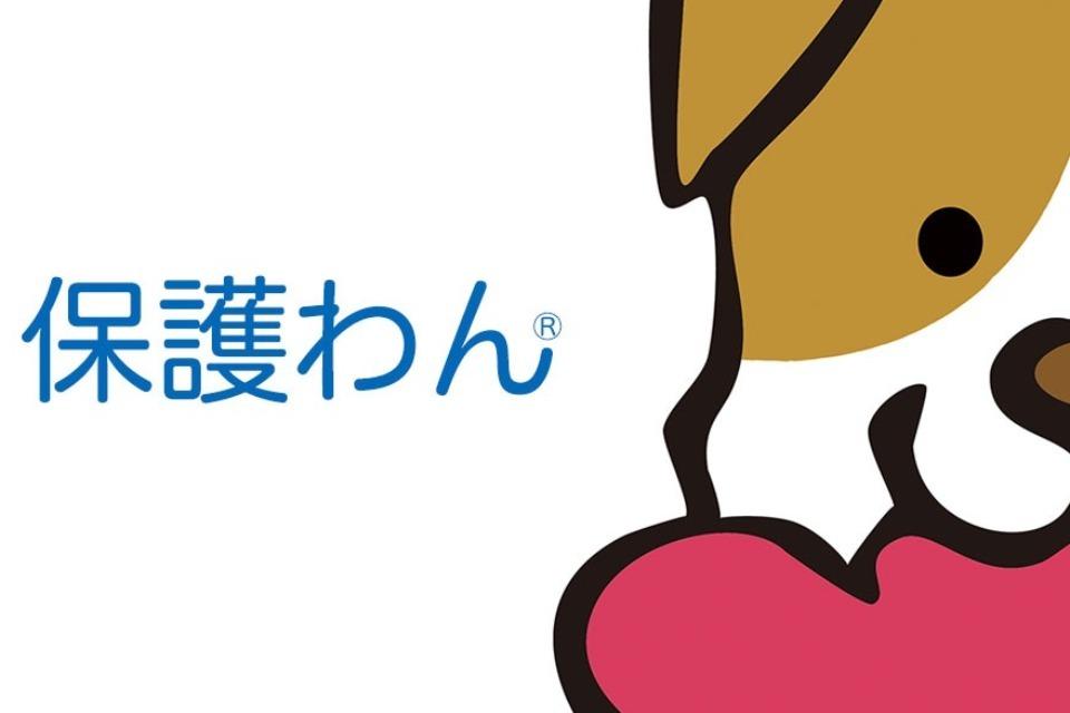 保護わんの活動を応援して下さい!のメインビジュアル