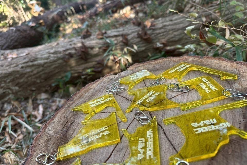 マイモリプロジェクトのメインビジュアル