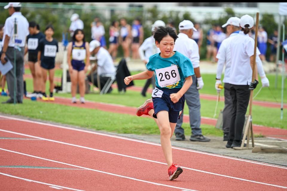 事業の目的の画像