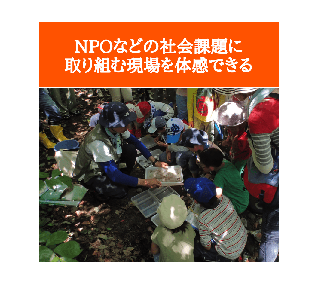 事業の目的の画像