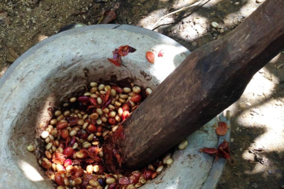 事業の目的の画像