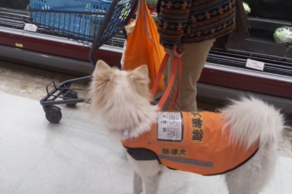 事業の目的の画像