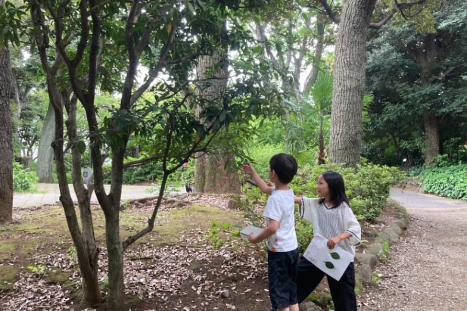 事業の目的の画像
