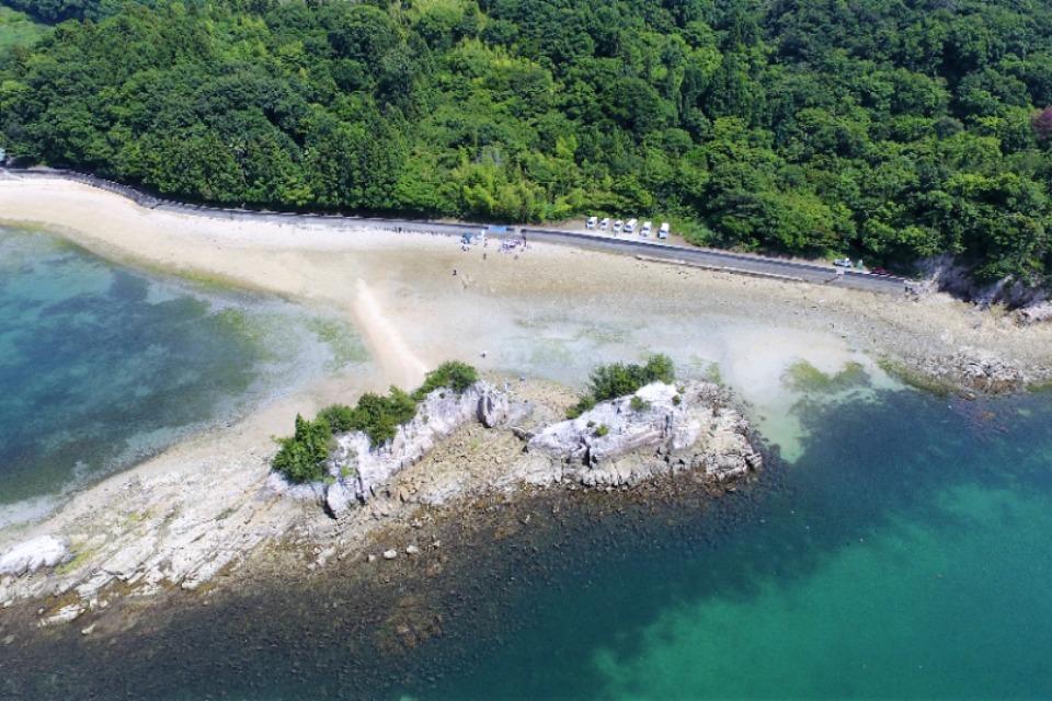 事業の目的の画像