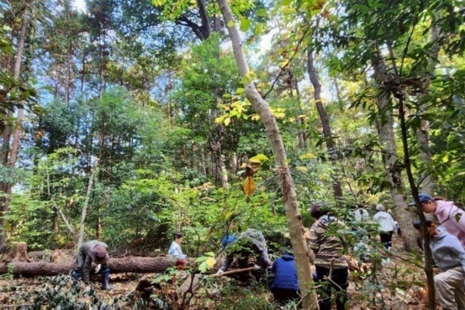 事業の目的の画像