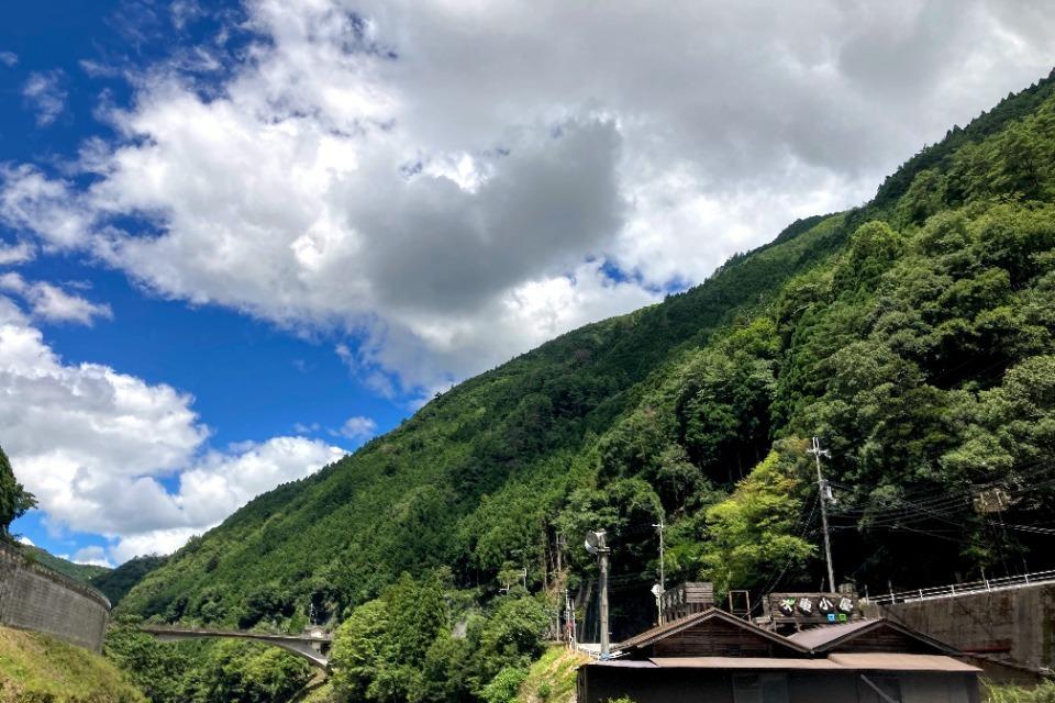 事業の目的の画像