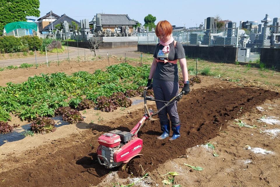 事業の目的の画像