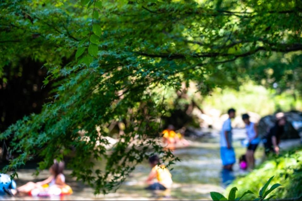 事業の目的の画像