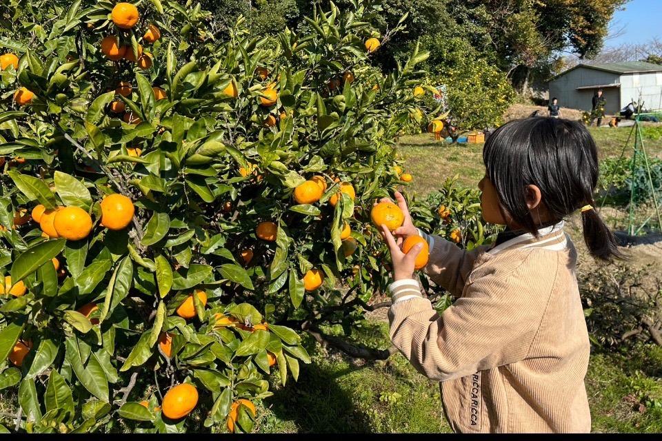 事業の目的の画像