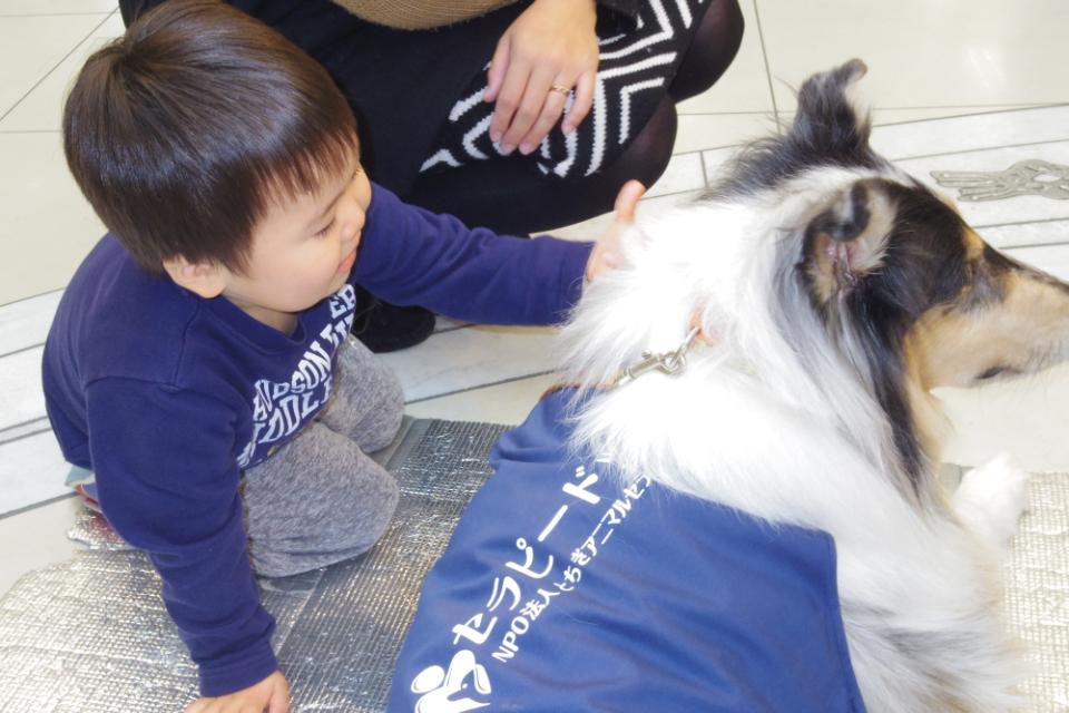 事業の目的の画像