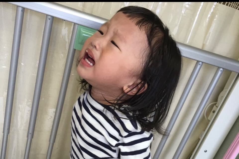 事業の目的の画像