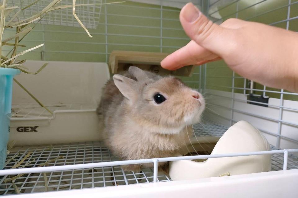 事業の目的の画像