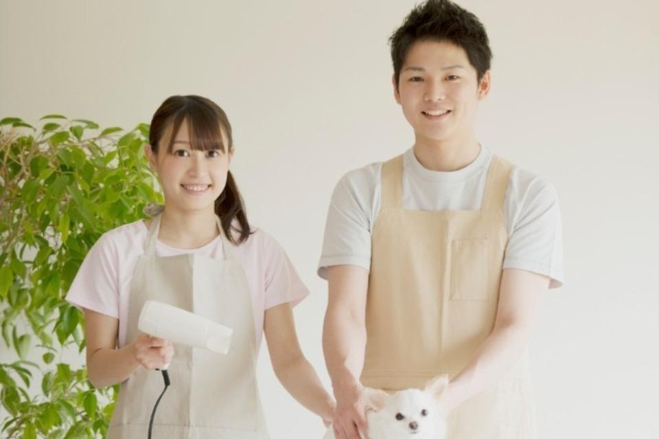 事業の目的の画像