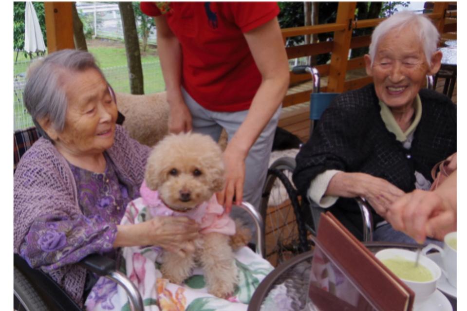 事業の目的の画像