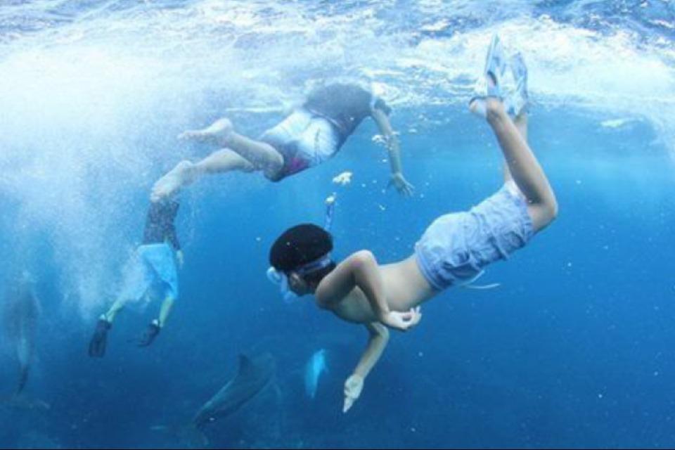 事業の目的の画像