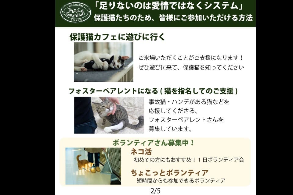 事業の目的の画像
