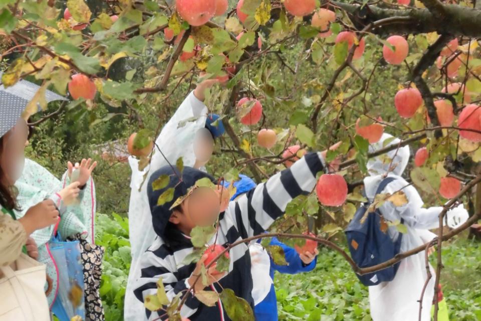 事業の目的の画像