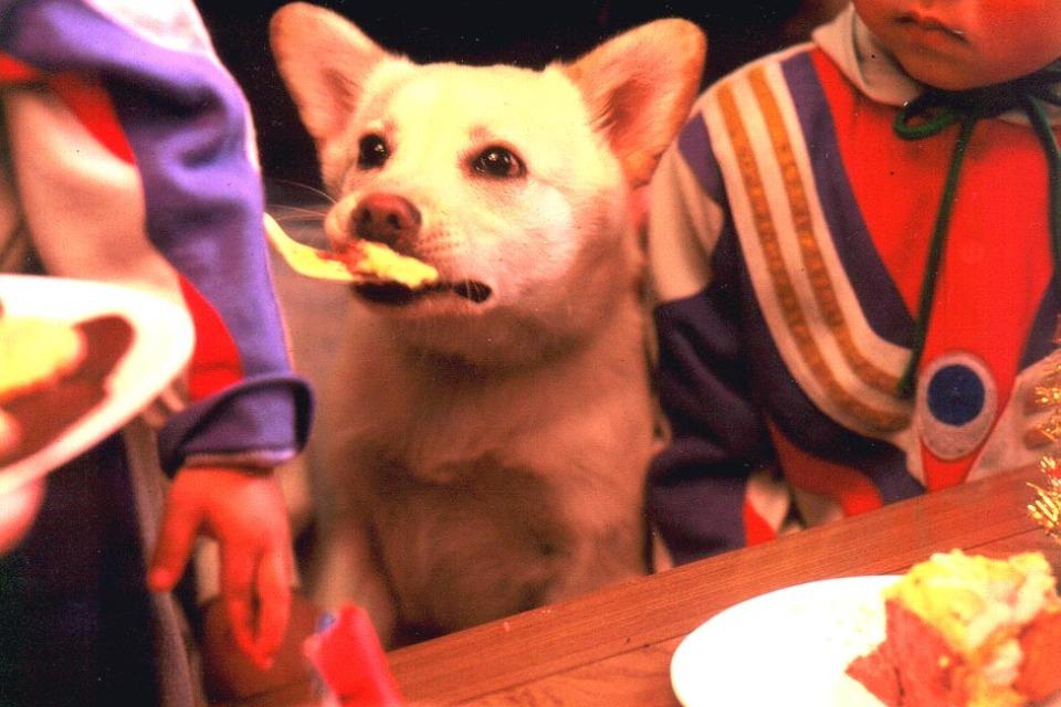 事業の目的の画像