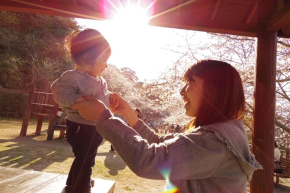 事業の目的の画像