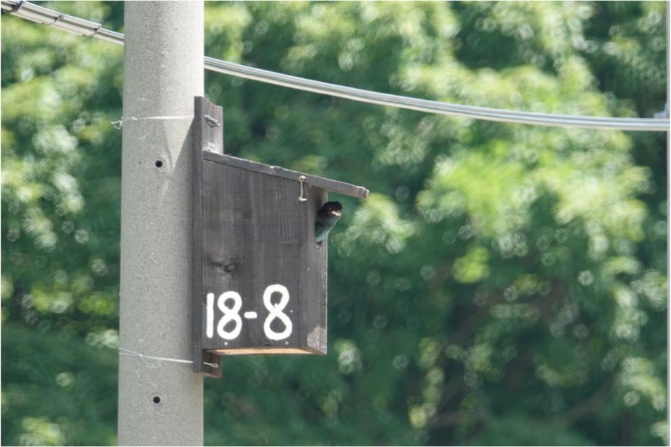 事業の目的の画像