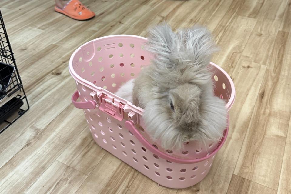 事業の目的の画像
