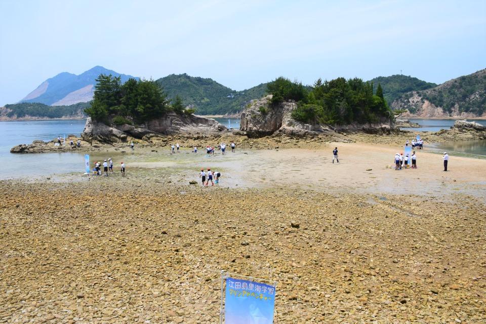 事業の目的の画像