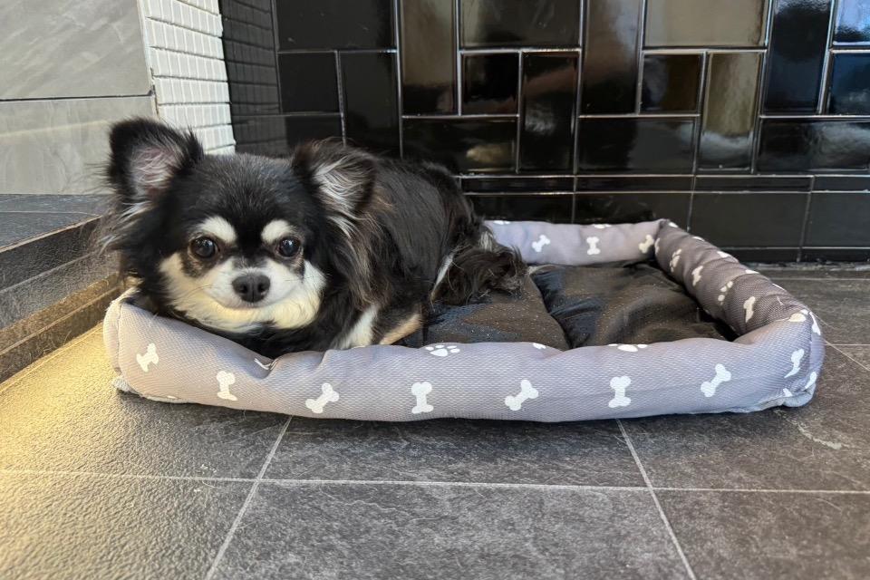 事業の目的の画像