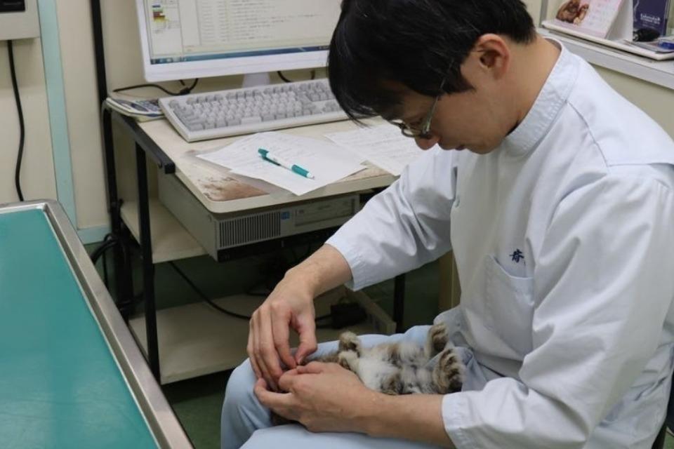 事業の目的の画像