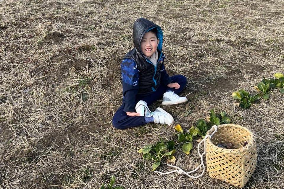 事業の目的の画像
