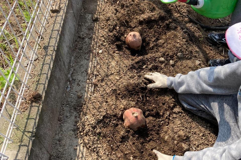 事業の目的の画像