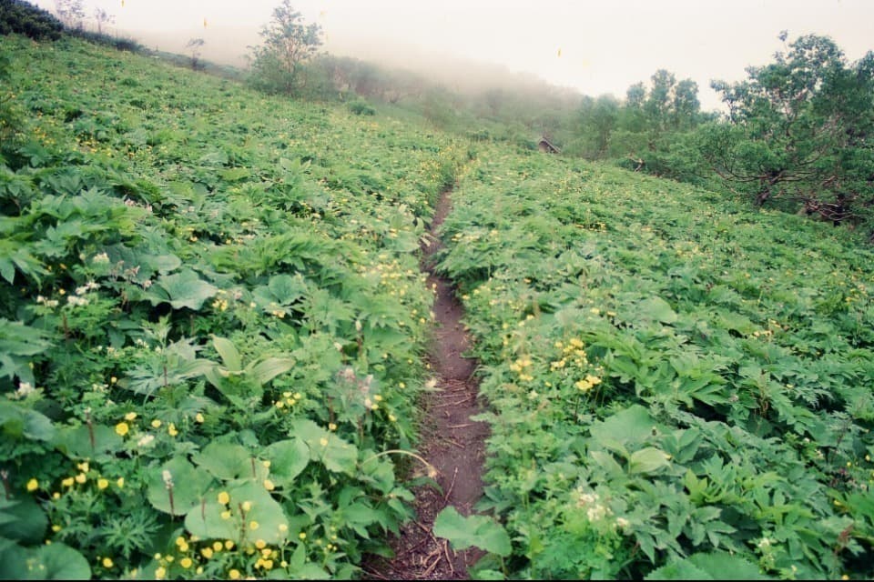 事業の目的の画像