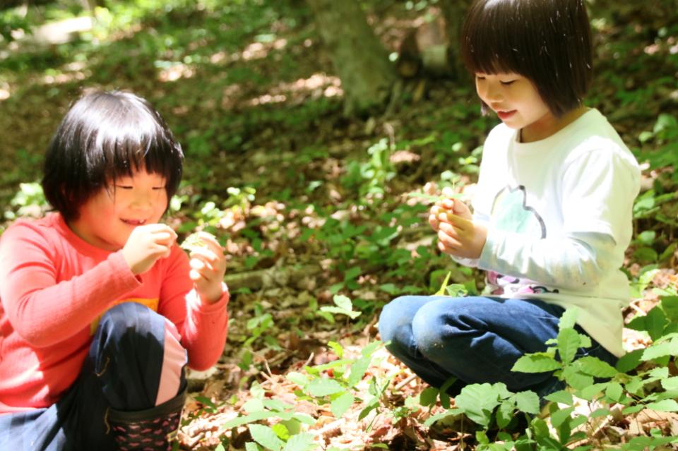 事業の目的の画像