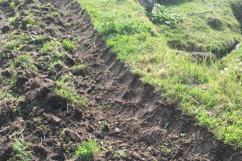 事業の目的の画像