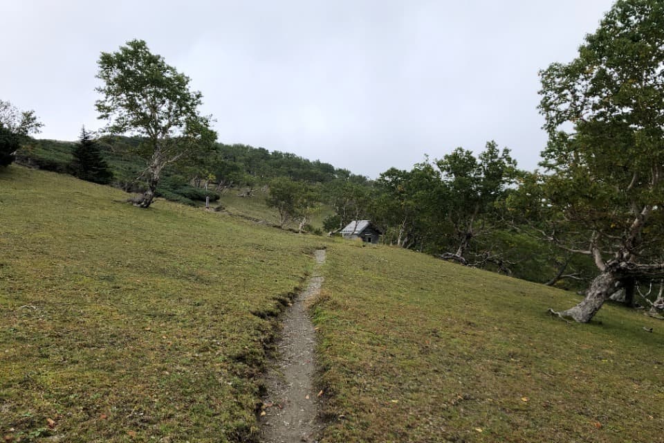 事業の目的の画像