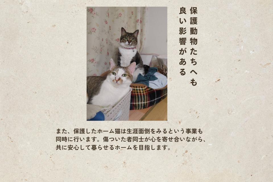 事業の目的の画像