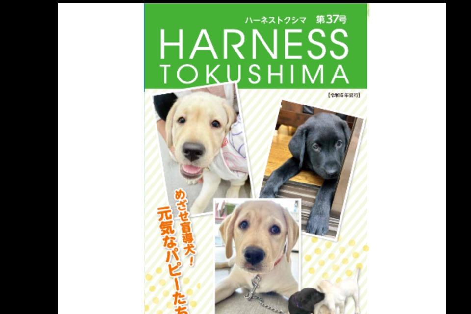 事業の目的の画像