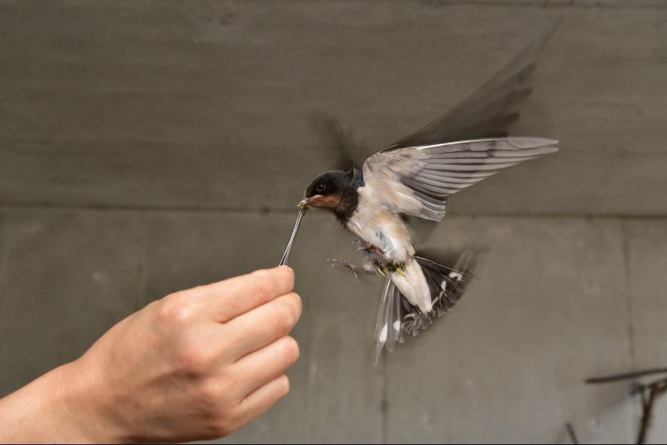 事業の目的の画像