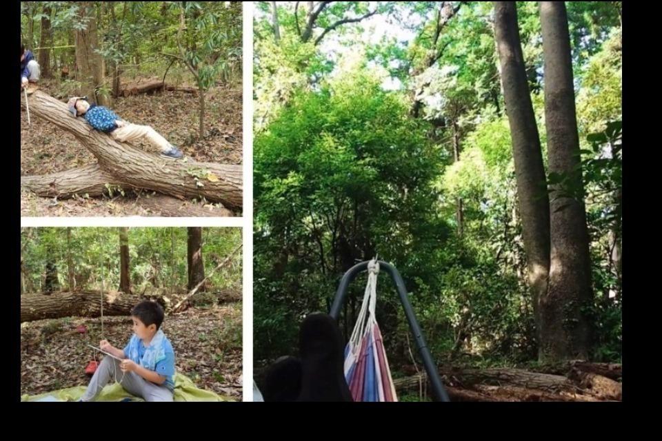 事業の目的の画像