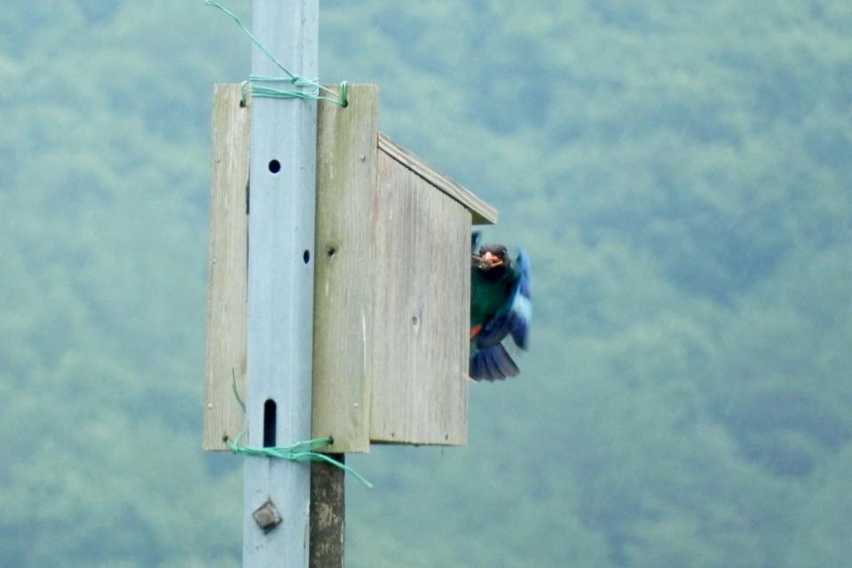 事業の目的の画像