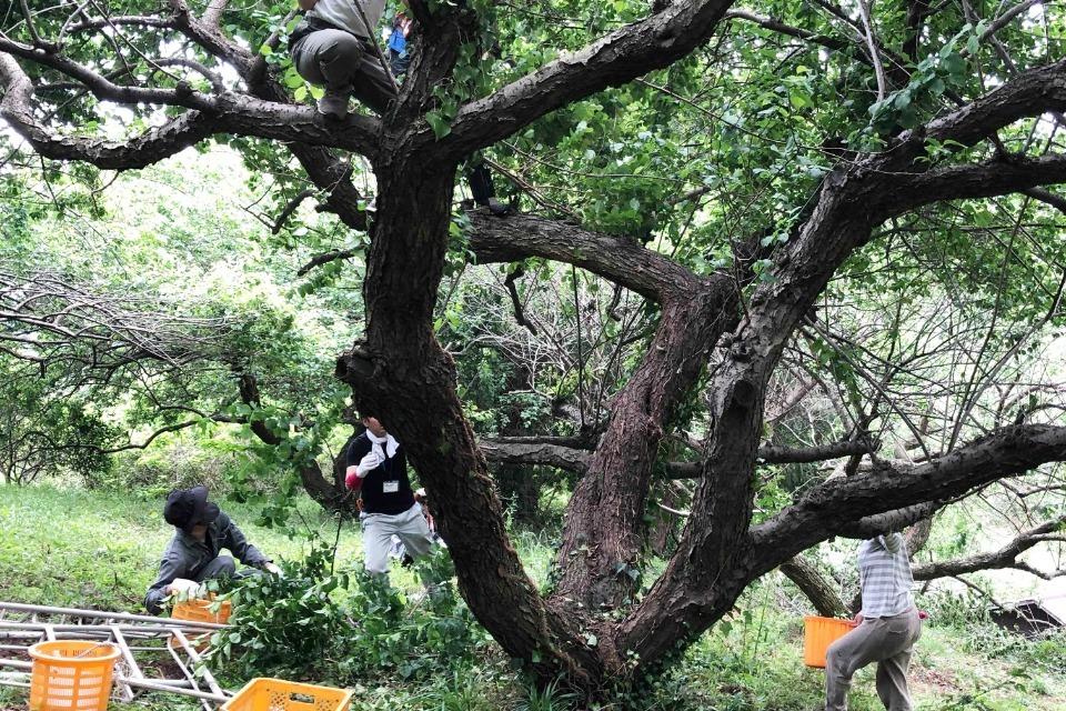 これまでの事業成果の画像
