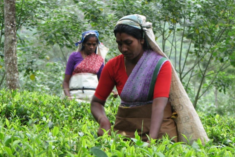 これまでの事業成果の画像