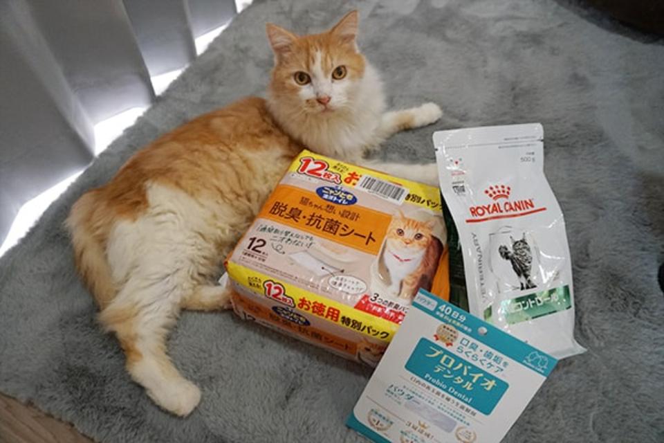 これまでの事業成果の画像