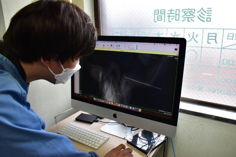 これまでの事業成果の画像