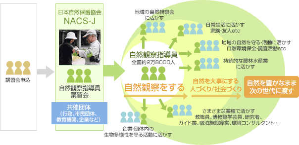 これまでの事業成果の画像