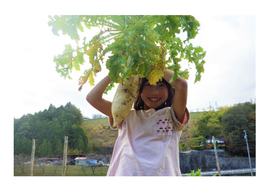 これまでの事業成果の画像