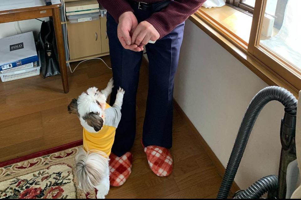 これまでの事業成果の画像