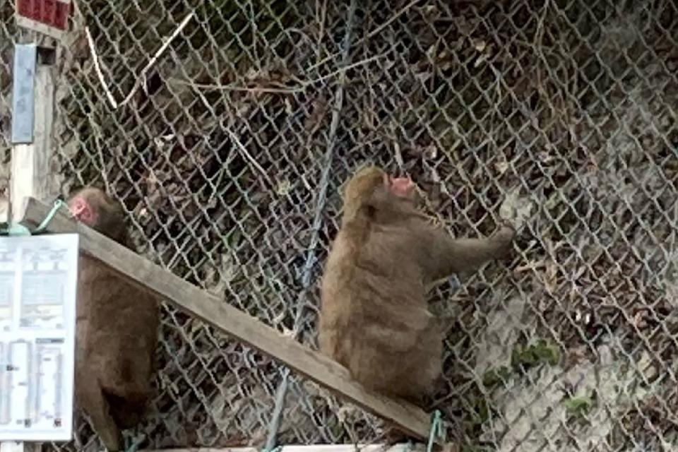 これまでの事業成果の画像