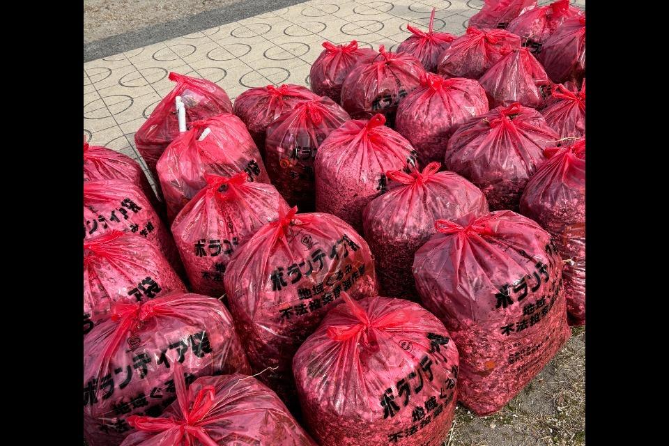 これまでの事業成果の画像